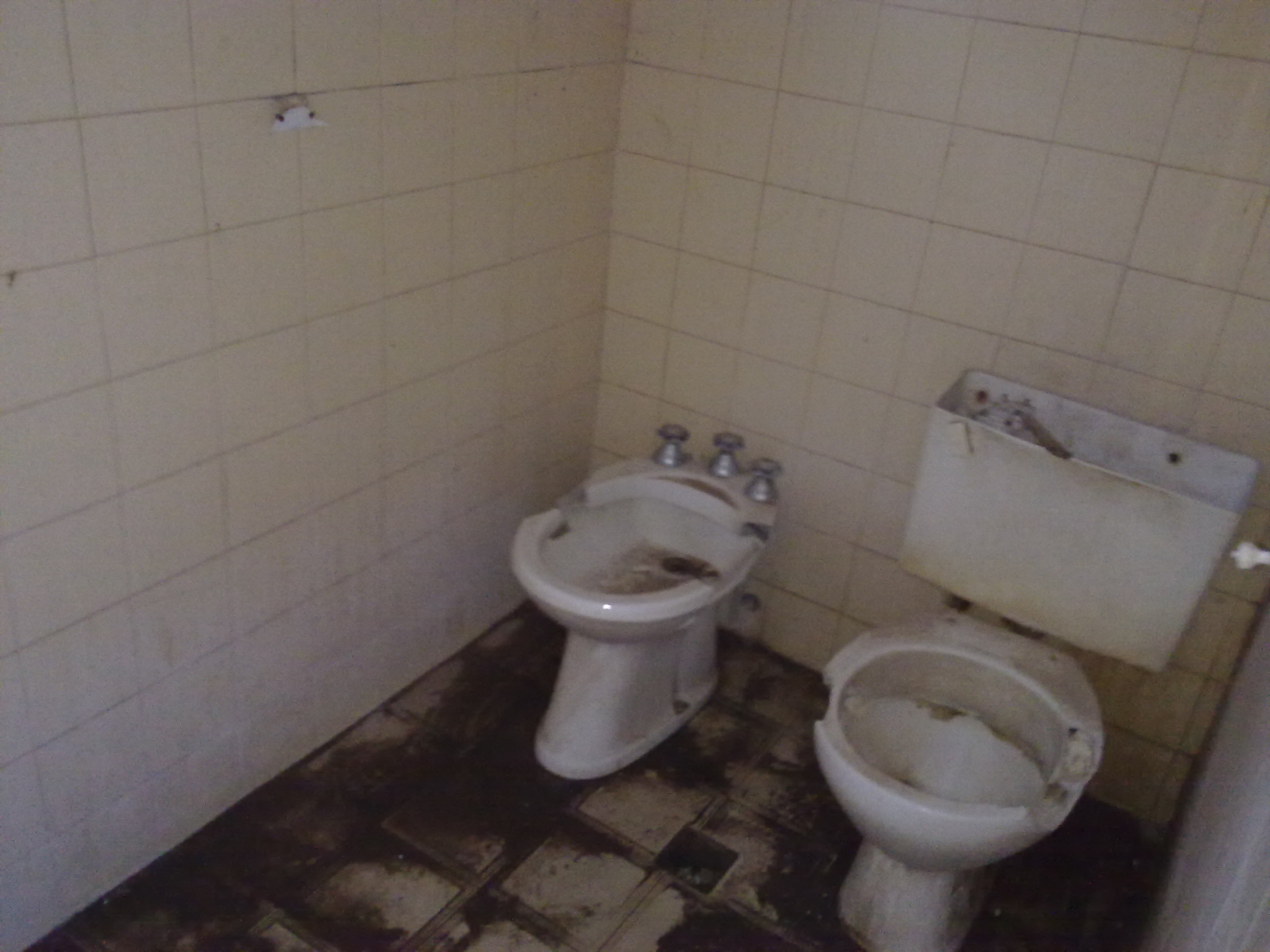 fotos/2012-11-12 - Tereno y cena Osvaldo/10032012210.jpg